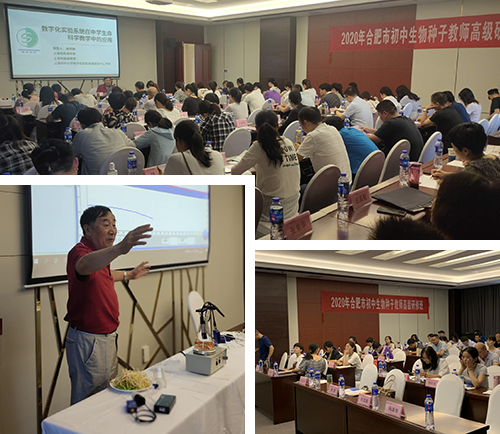 1603250134104722.png x-2.png