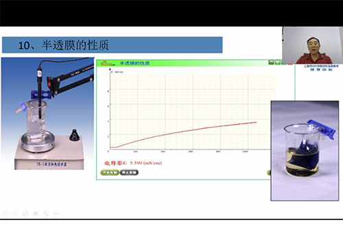 1603259370115394.jpg X-2.jpg