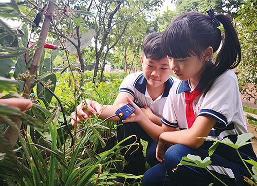 1706069399696857.jpg tp1.jpg