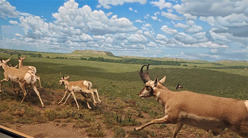 1718955115603350.jpg 7.jpg