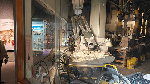 1718955126679926.jpg 8.jpg